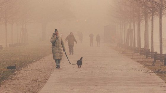 kiev okutyvaet gustym tumanom v pjatnicu prognozirujut gololedicu 48f717e scaled China Way