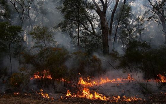 Останні ракетні удари росіян: в уряді озвучили збитки довкіллю 14 ostanni raketni udari rosijan v urjadi ozvuchili zbitki dovkillju a69c2f4 scaled China Way