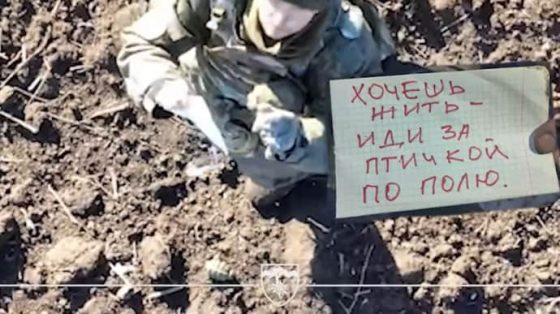 ''Хочешь жить - иди за птичкой'': россиянин сдался в плен дрону ''Эдельвейсов'' 1 hochesh zhit idi za ptichkoj rossijanin sdalsja v plen dronu edelvejsov 8fceb06 scaled China Way