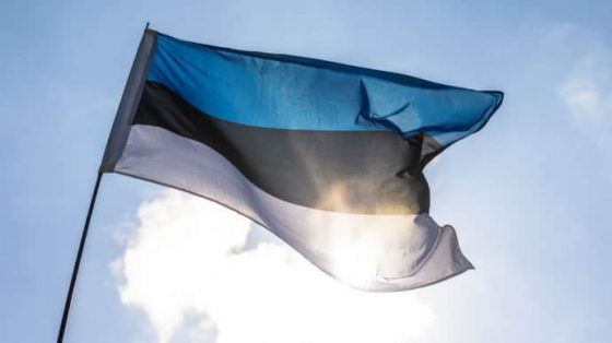 Эстония предоставит Украине пакет военной помощи на 20 млн евро 1 estonija predostavit ukraine paket voennoj pomoshhi na 20 mln evro 614af94 scaled China Way