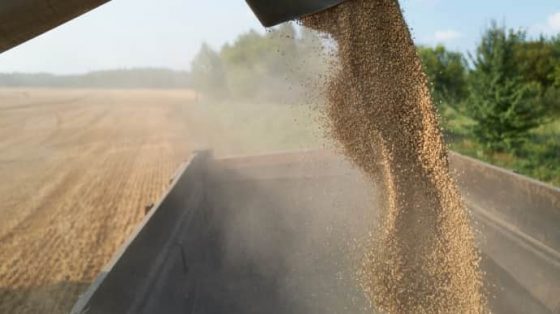 evrokomissija pokazala povyshennye tarify na import zernovyh iz rf i belarusi e951015 scaled China Way