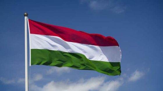 radio svoboda vengrija napravila pismo gosudarstvam es otnositelno pritesnenij vengrov v ukraine df3dcf1 scaled China Way