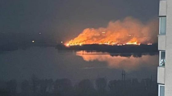 В Киеве пожар в экопарке ''Осокорки'' удалось потушить 1 v kieve pozhar v ekoparke osokorki udalos potushit ec79038 scaled China Way