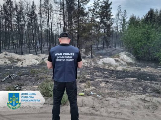 От российских обстрелов в Донецкой области загорелся лес: пылало около 300 гектаров 3 От российских обстрелов в Донецкой области загорелся лес: пылало около 300 гектаров