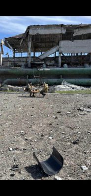 ''Редис'': 900 защитников ''Азовстали'' 2 года в плену. Мы не остановимся, пока не вернем всех 