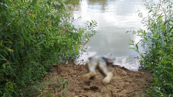 На границе с Венгрией из Тисы достали тело утопленника: 35 с начала большой войны 7 na granice s vengriej iz tisy dostali telo utoplennika 35 s nachala bolshoj vojny eeedc9f scaled China Way