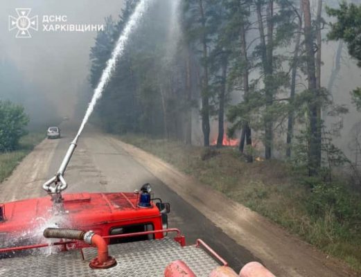 На Харьковщине горят почти 4 тысячи гектаров леса 