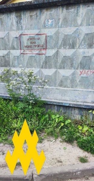 Партизани провели розвідку у штабі частини ПКС у Санкт-Петербурзі: що вдалось дізнатись (фото) 4 Партизани провели розвідку у штабі частини ПКС у Санкт-Петербурзі: що вдалось дізнатись (фото)