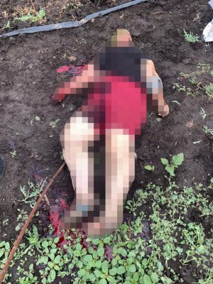 Россия обстреляла кассетными боеприпасами Волновахский район: убила людей на огороде 