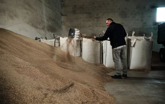 v ukrayini agrariyi zmozhut na rik otrimati bron vid mobilizaciyi ministr 43e563a scaled China Way