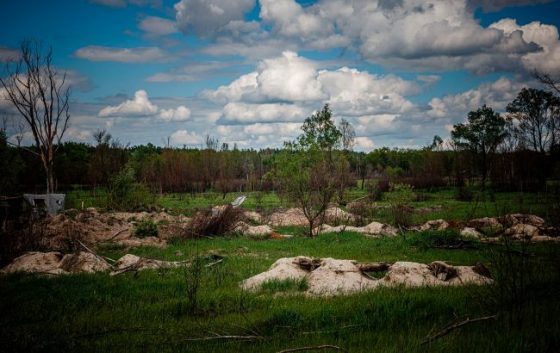 Росія влаштувала масову вирубку лісів в окупованій Донецькій області, - ЦНС 6 rosija vlashtuvala masovu virubku lisiv v okupovanij doneckij oblasti cns 41b1afd scaled China Way