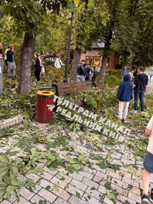 В парке в центре Киева упало дерево из-за порывов ветра: один человек погиб, еще 3 пострадали 2 В парке в центре Киева упало дерево из-за порывов ветра: один человек погиб, еще 3 пострадали