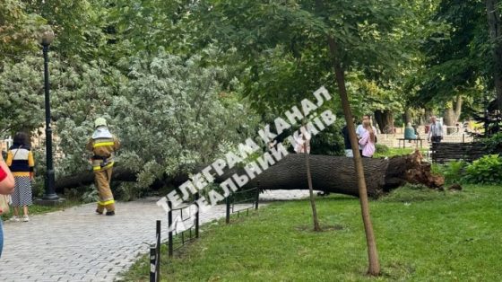 v parke v centre kieva upalo derevo iz za poryvov vetra odin chelovek pogib eshhe 3 postradali 36ea0f8 scaled China Way