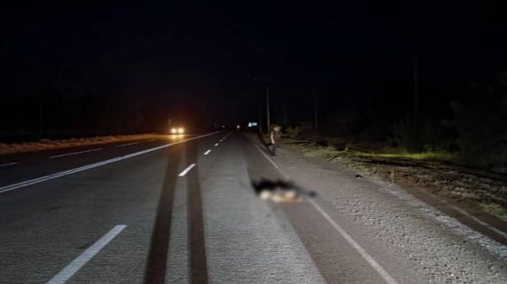 Запорожская область: водитель сбил насмерть военного и скрылся 8 zaporozhskaja oblast voditel sbil nasmert voennogo i skrylsja b9b4edc scaled China Way