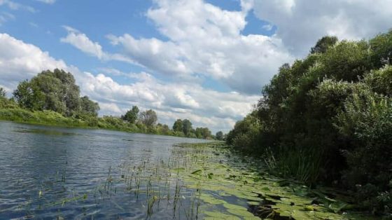 В министерстве расставили точки над ''і'' относительно загрязнения воды в Сейме и Десне 4 v ministerstve rasstavili tochki nad i otnositelno zagrjaznenija vody v sejme i desne 8029eb9 scaled China Way