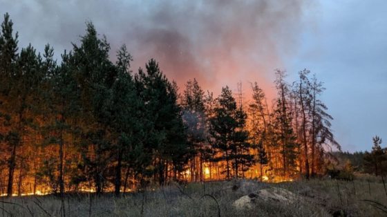 v chernobylskoj zone prodolzhaetsja pozhar na ploshhadi 20 ga a8a3038 scaled China Way