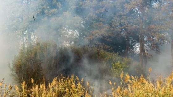 В Киеве ухудшилось качество воздуха: горят торфяники 1 v kieve uhudshilos kachestvo vozduha gorjat torfjaniki 4af2324 scaled China Way