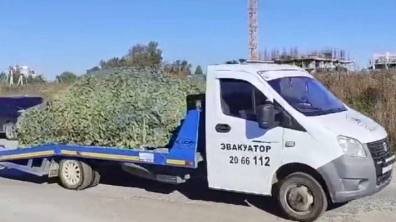 В Єкатеринбурзі підірвали росгвардійців на КПП військової частини, - ГУР