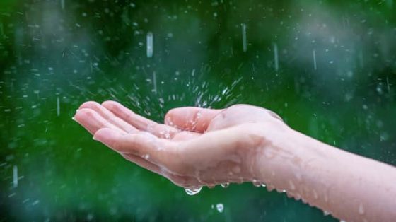 na vyhodnyh ozhidajutsja dozhdi na zapade i severe ukrainy 4a140aa scaled China Way