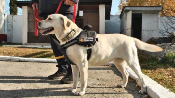 po ukraine katitsja volna soobshhenij o minirovanii policija proverjaet 56bae1b scaled China Way