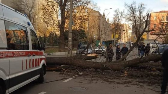 Последствия непогоды: в Киеве дерево убило женщину 1 posledstvija nepogody v kieve derevo ubilo zhenshhinu 431ced4 scaled China Way