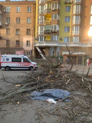 Последствия непогоды: в Киеве дерево убило женщину 2 Последствия непогоды: в Киеве дерево убило женщину