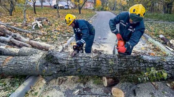 silnyj veter povalil desjatki derevev v kieve 1aee13b scaled China Way