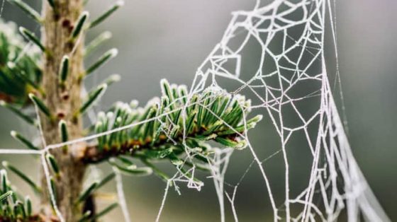 ukrainu nakrojut mokryj sneg dozhd i silnyj veternbsp efbc12e scaled China Way