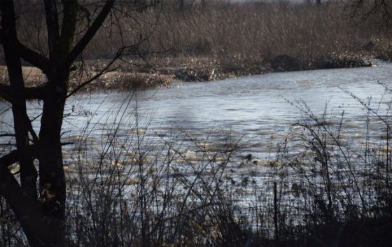 krashhe zdatisja nizh vtopitisja zhitel lvivshhini rozpoviv pro nevdalu sprobu pereplisti tisu 810926c scaled China Way