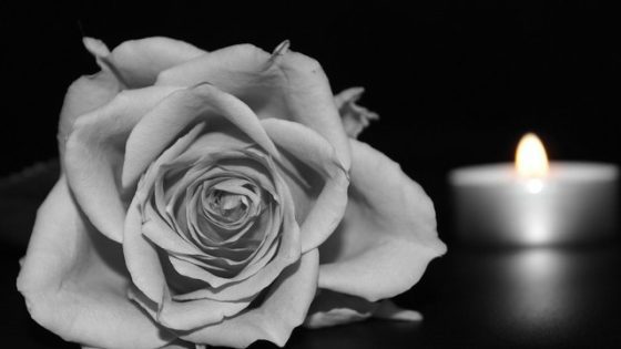 v ukraine 10 gumanitarnyh rabotnikov oon pogibli v proshlom godu iz za rossijskih atak gumanitarnyj koordinator 62aa8f7 scaled China Way