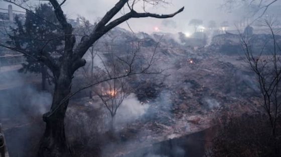 Лесные пожары в Южной Корее: количество жертв возросло до 24 1 lesnye pozhary v juzhnoj koree kolichestvo zhertv vozroslo do 24 5b30fab scaled China Way