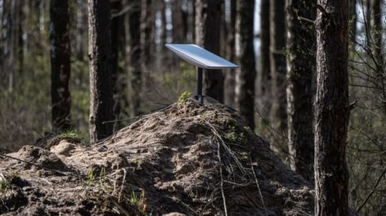 Рубио: Никто не угрожал отключить Украине Starlink, но без него она бы проиграла войну 7 rubio nikto ne ugrozhal otkljuchit ukraine starlink no bez nego ona by proigrala vojnu bf06f46 scaled China Way