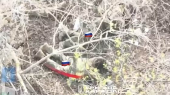 Нацгвардейцы взяли в плен группу российских пехотинцев 2 nacgvardejcy vzjali v plen gruppu rossijskih pehotincev 69aa141 scaled China Way