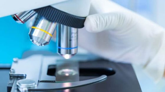 Поставщиков продуктов для ВСУ оштрафовали на 6 млн грн – Минобороны 3 postavshhikov produktov dlja vsu oshtrafovali na 6 mln grn minoborony 283917f scaled China Way