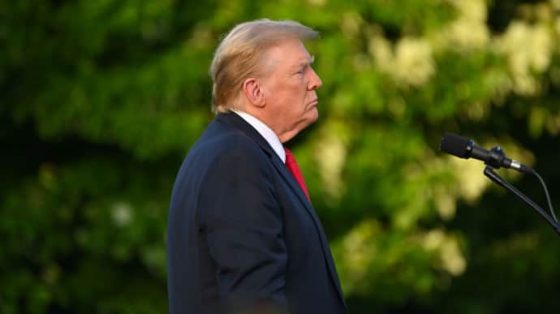Трамп ''в ближайшие дни'' ждет от РФ ответа по прекращению огня в Украине 5 tramp v blizhajshie dni zhdet ot rf otveta po prekrashheniju ognja v ukraine 1374f68 scaled China Way