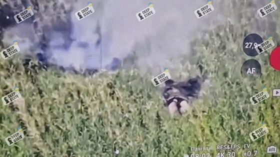 deepstate rossijane rasprostranili fejk o vyhode na granicu dnepropetrovshhiny ih likvidirovali 9dacf53 scaled China Way