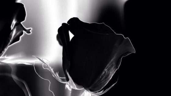 Из-за войны погибли 201 деятель культуры и 103 медийщика 1 iz za vojny pogibli 201 dejatel kultury i 103 medijshhika f5e790e scaled China Way