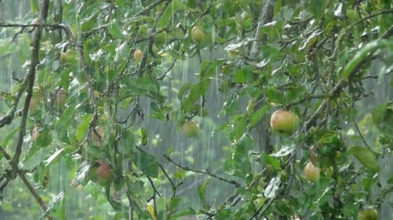dozhdlivaja pogoda s grozami sohranitsja na vostoke i severe ukrainy 8c0f085 scaled China Way