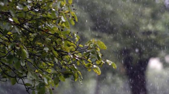 v ponedelnik v nekotoryh oblastjah ozhidajutsja dozhdi i grozy f339dce scaled China Way