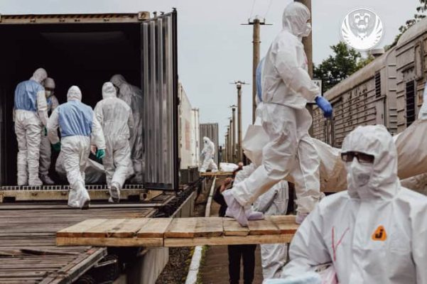В Украину вернули еще 1200 тел погибших 2 В Украину вернули еще 1200 тел погибших