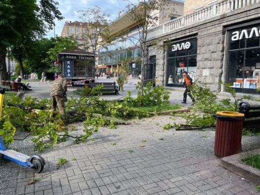Ветер повалил дерево возле станции метро ''Крещатик'' в Киеве 