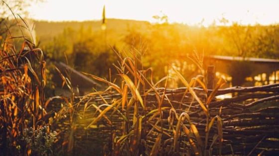 v subbotu v ukraine budet zharko i projdut kratkovremennye dozhdi 9d9fbf2 scaled China Way