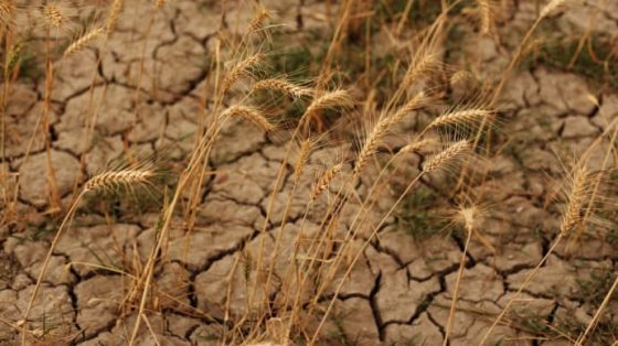 Во вторник в Украину придет сильная жара 5 vo vtornik v ukrainu pridet silnaja zhara 464c42e scaled China Way