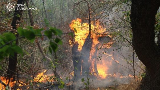 spasateli vtorye sutki tushat pozhar na ostrove hortica 2d78c70 scaled China Way