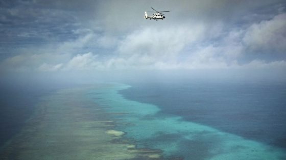 ssha otklonili plan kitaja sozdat zapovednik na spornom rife u filippin a089643 scaled China Way