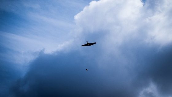 ukrainskie bespilotniki v sentjabre uvelichili kolichestvo porazhenij celej protivnika na 108 syrskij 4746a46 scaled China Way