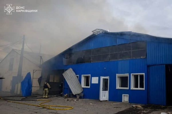 На Харьковщине РФ ударила по сельхозпредприятию: ранен мужчина, погибли коровы 