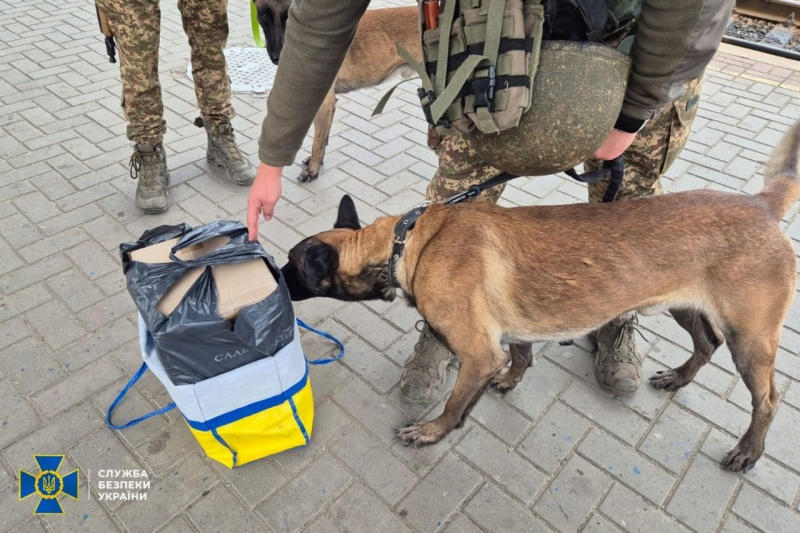 По всьому місту. СБУ проводить безпекові заходи у Сумах 8 По всьому місту. СБУ проводить безпекові заходи у Сумах