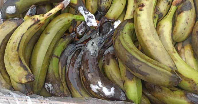Продукты для ВСУ: компания-поставщик погорела на некачественных продуктах 