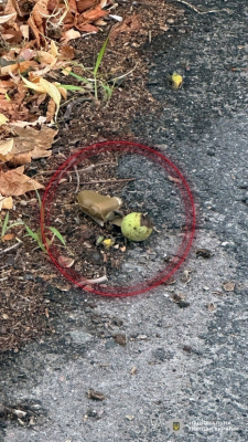 Россияне дистанционно разбросали мины на одной из улиц Херсона 